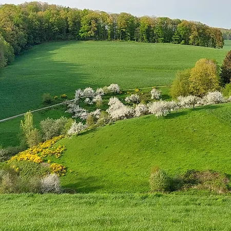 Fachwerkhaus Mitten In Der *