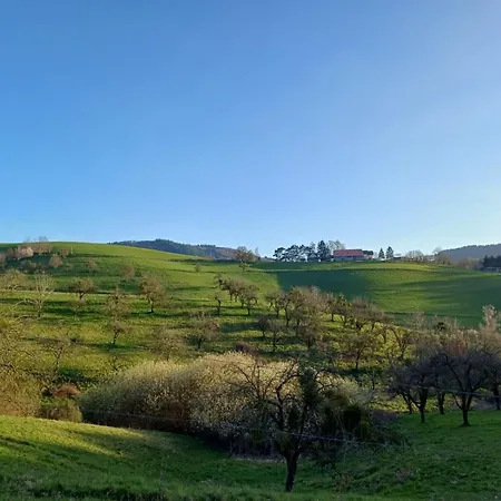 Appartamento Fachwerkhaus Mitten In Der Weinheim